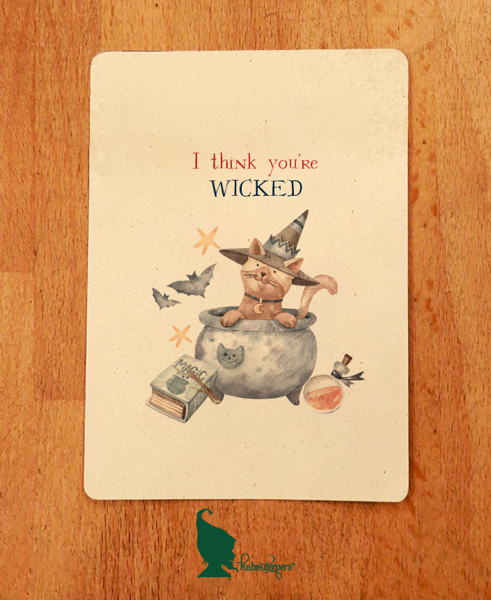 I think you're Wicked - Olleke Wizarding Shop Amsterdam