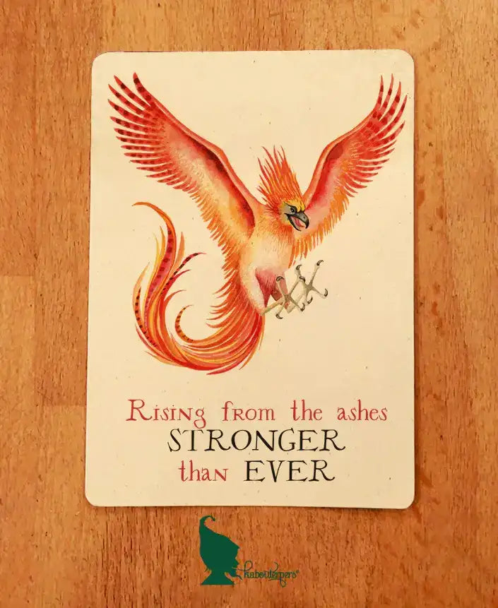 Rising from the ashes stronger than ever - Olleke Wizarding Shop Amsterdam