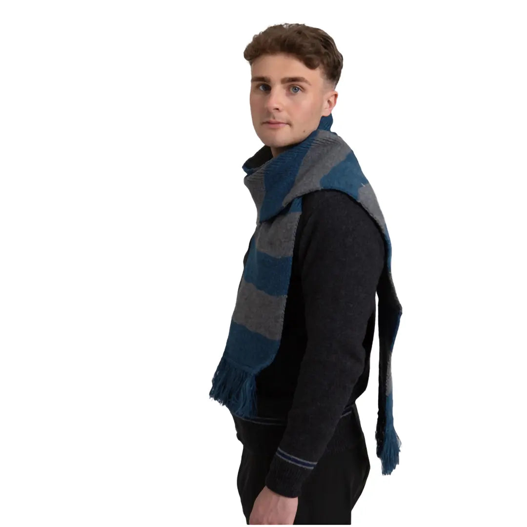 Ravenclaw Striped Scarf - Olleke Wizarding Shop Amsterdam
