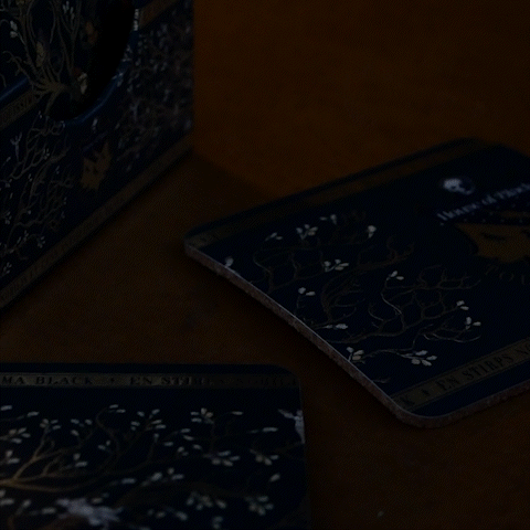 Harry Potter Black Family Set of 4 Coasters - Olleke Wizarding Shop Amsterdam