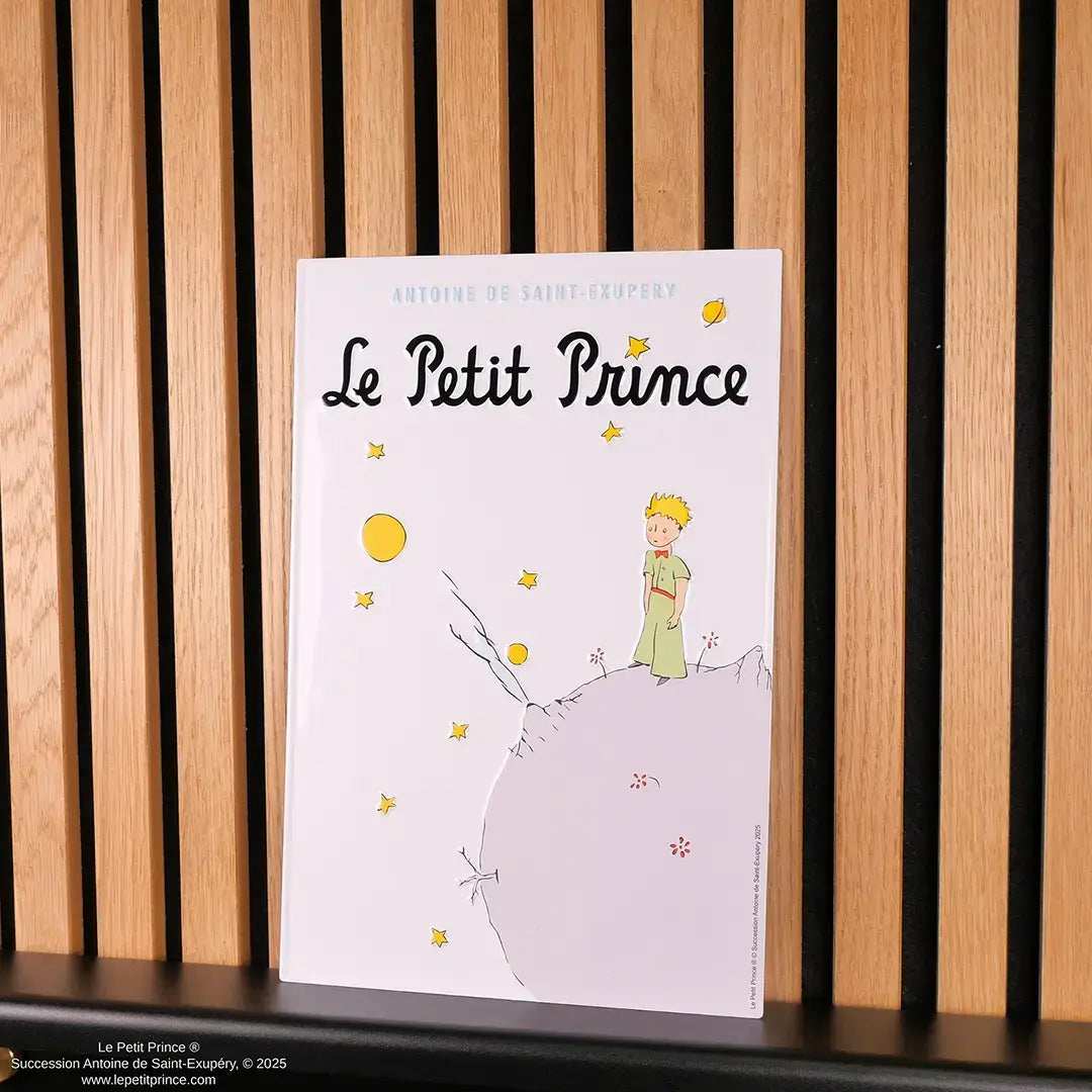 The Little Prince Aluminium plate - Olleke Wizarding Shop Amsterdam