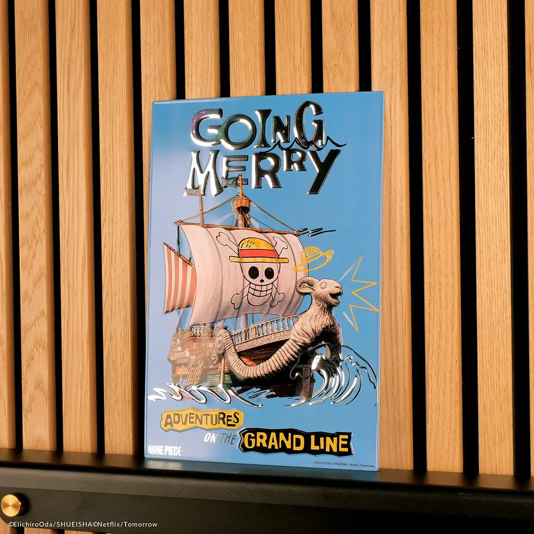 One Piece Aluminium plate - The Grand Line - Olleke Wizarding Shop Amsterdam