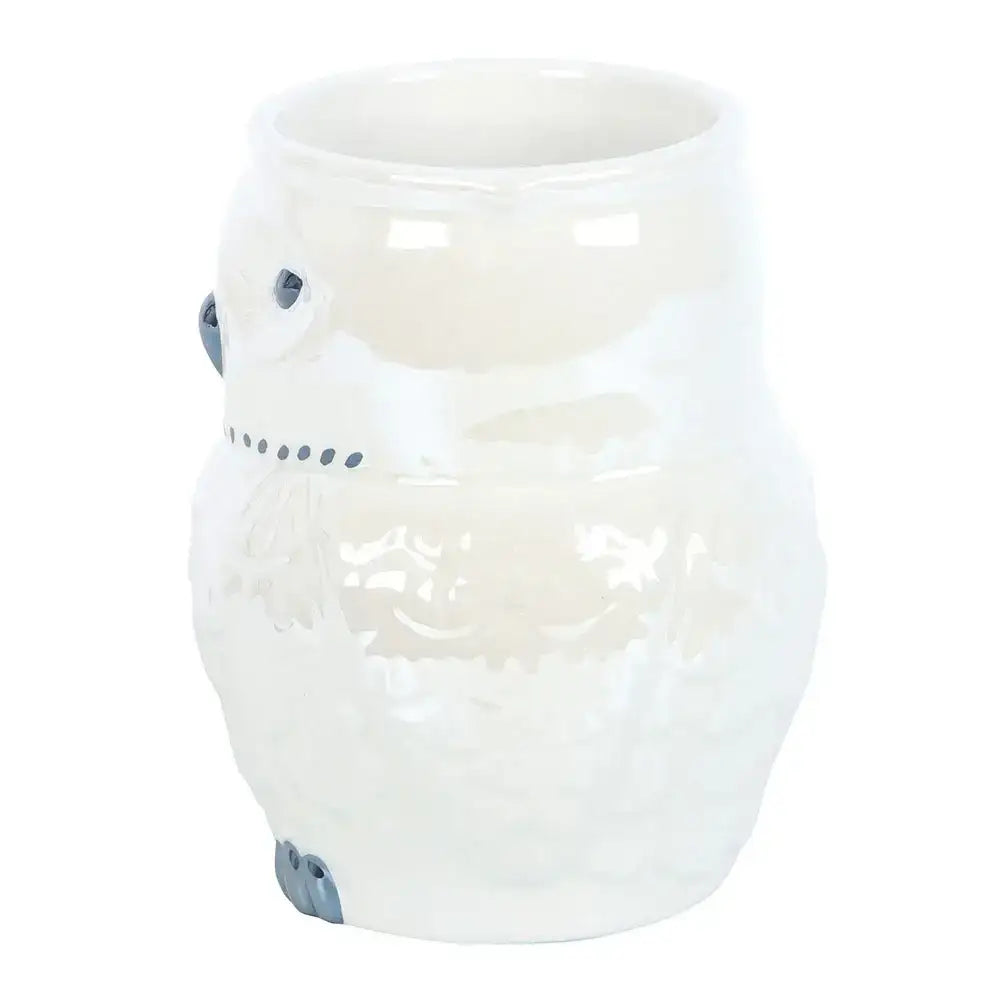 Owl Shaped Iridescent Mug - Olleke Wizarding Shop Amsterdam