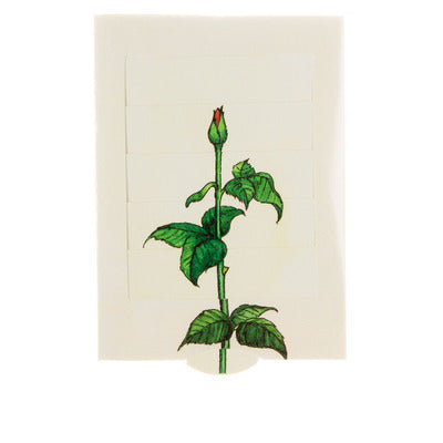 Rose slide card - Olleke Wizarding Shop Amsterdam