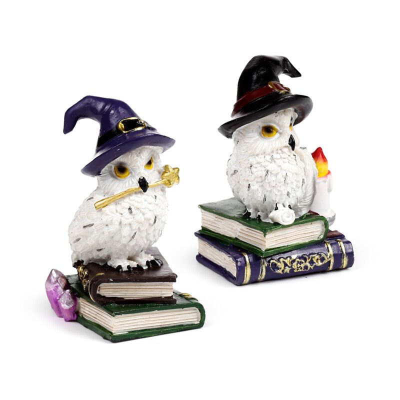 Wise Old Magical Owl on books - Olleke Wizarding Shop Amsterdam