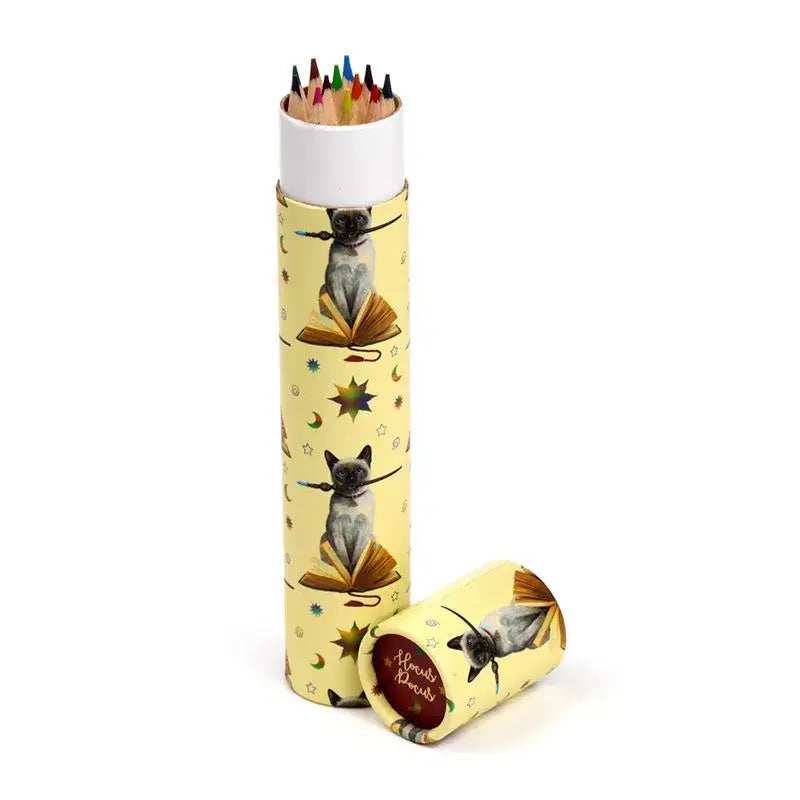 Magic Cat Coloured Pencils - Olleke Wizarding Shop Amsterdam