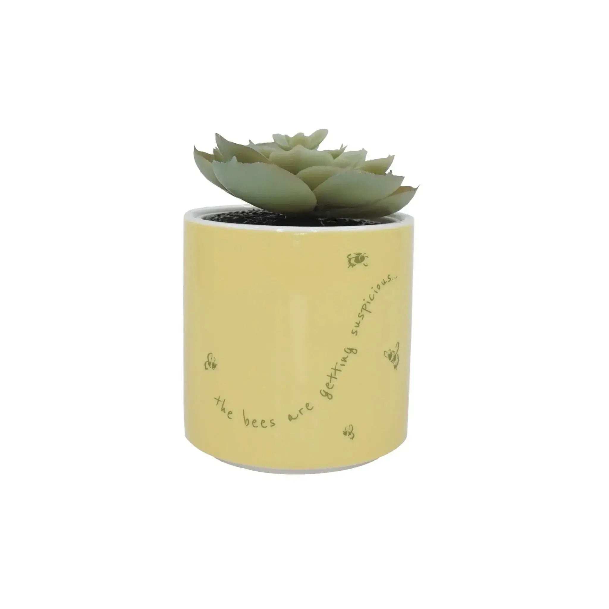 Disney Winnie the Pooh Plant Pot - Olleke Wizarding Shop Amsterdam