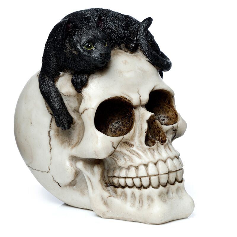Skull with Black Cat Ornament - Olleke Wizarding Shop Amsterdam