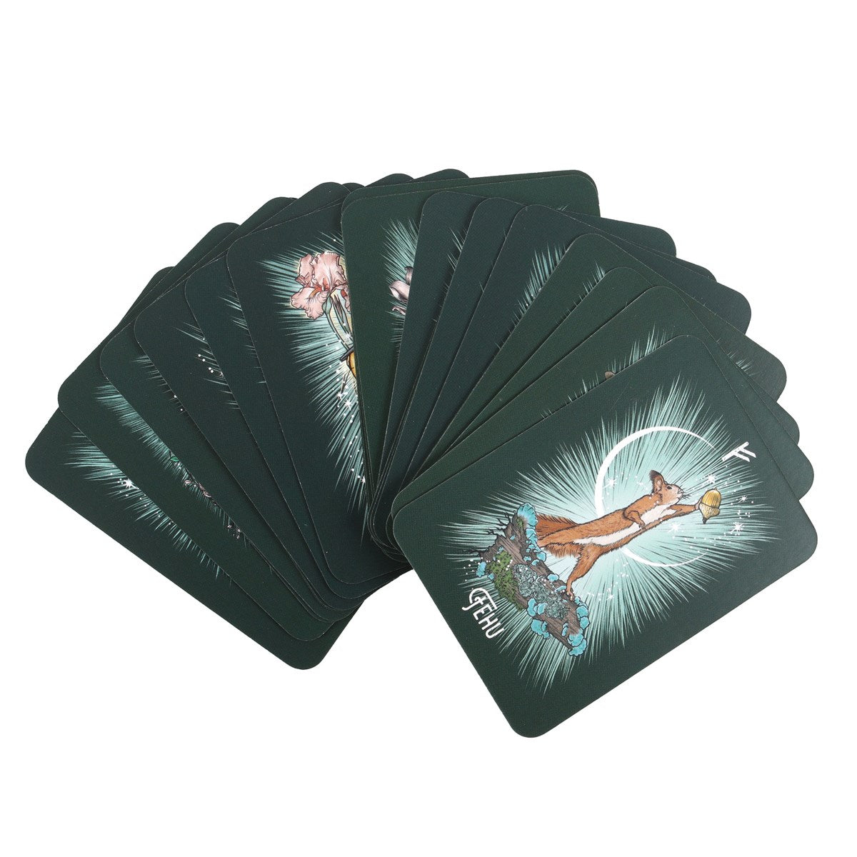 The Witch’s Familiar Runic Oracle Cards - Olleke Wizarding Shop Amsterdam