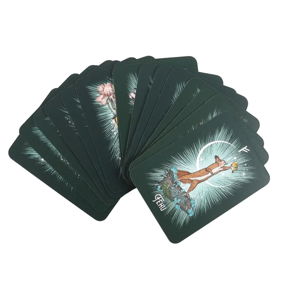 The Witch’s Familiar Runic Oracle Cards - Olleke Wizarding Shop Amsterdam