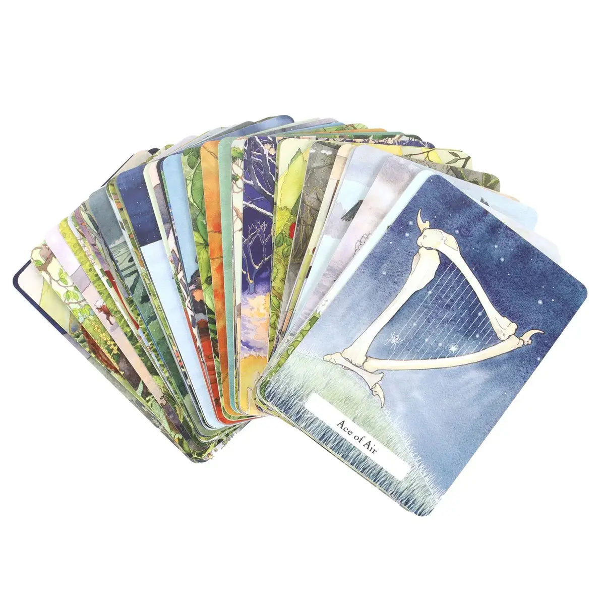 The Witches' Wisdom Tarot Cards Standard Edition - Olleke Wizarding Shop Amsterdam