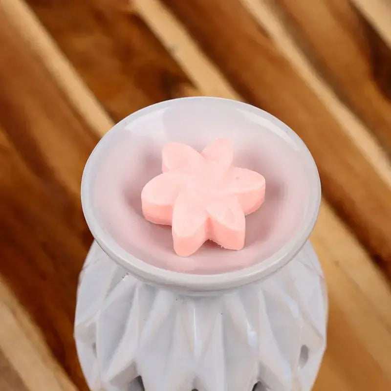 Soy Wax Melts - Magnolia - Olleke Wizarding Shop Amsterdam