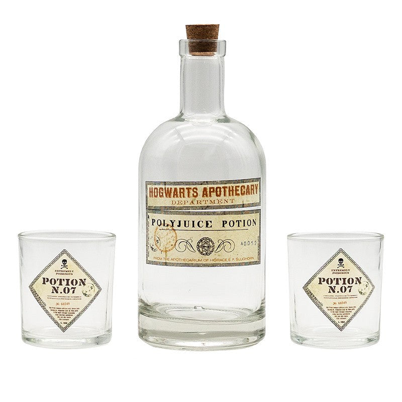 Harry Potter Bottle and glasses Set - Potion