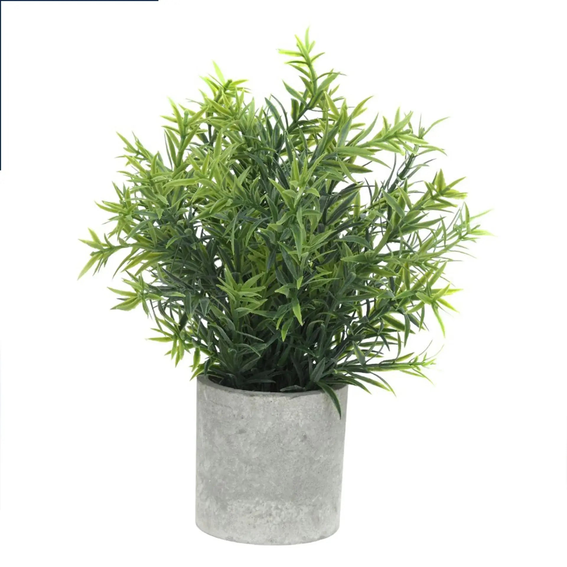 Plants in Stone Effect Pot - Olleke Wizarding Shop Amsterdam