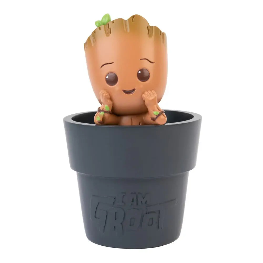 Groot Pencil Holder, Olleke Wizarding Shop Amsterdam