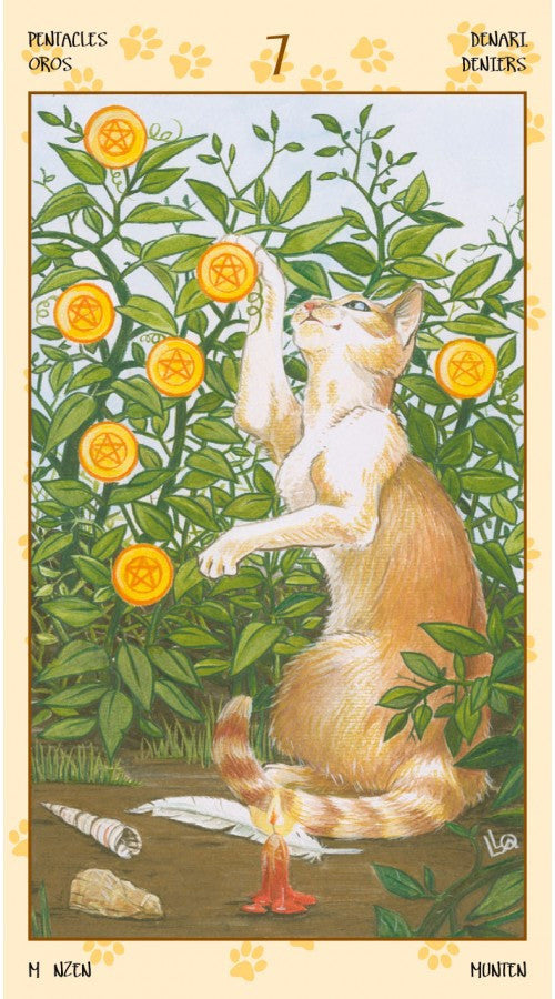 Tarot Of Pagan Cats - Olleke Wizarding Shop Amsterdam