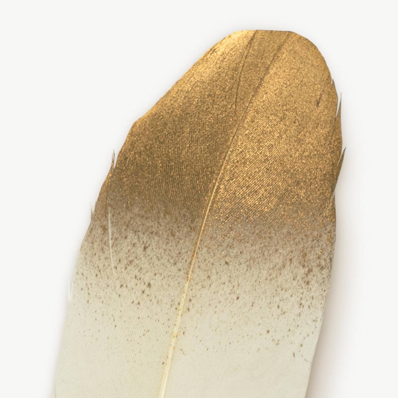 White Feather Quill Pen - Olleke Wizarding Shop Amsterdam