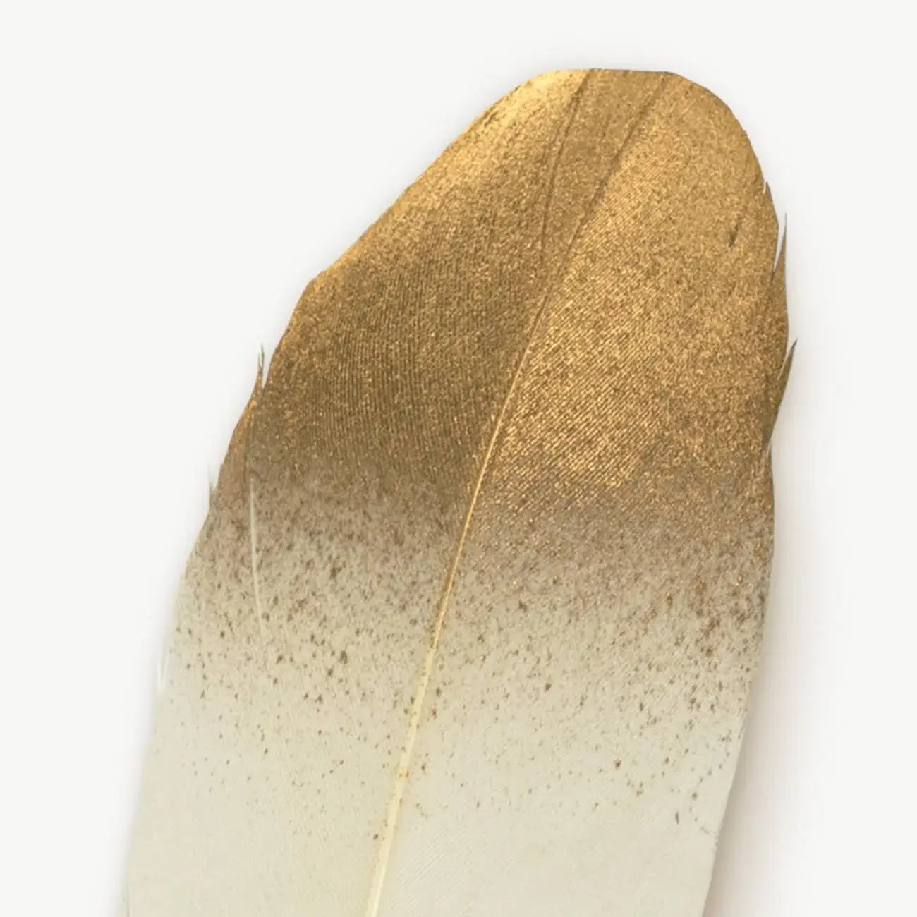 White Feather Quill Pen - Olleke Wizarding Shop Amsterdam