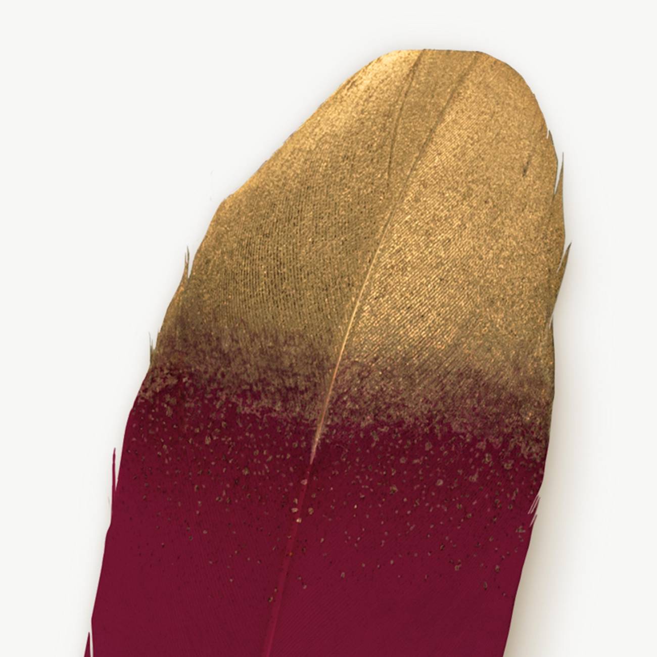 Red Feather Quill Pen - Olleke Wizarding Shop Amsterdam