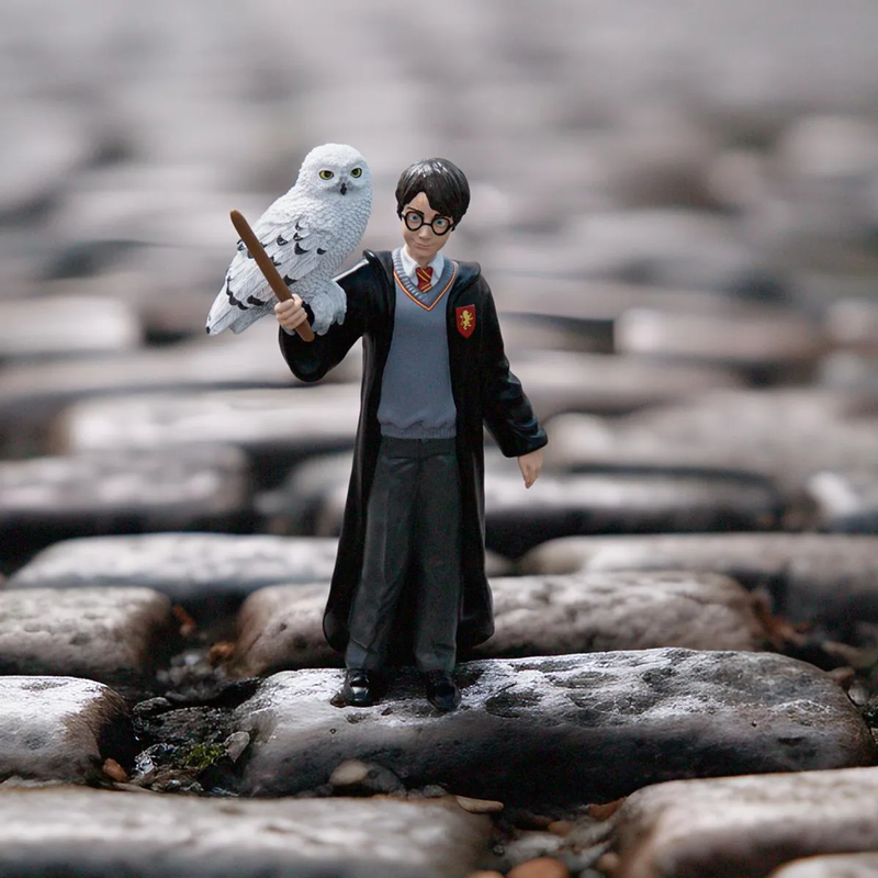 Harry Potter & Hedwig