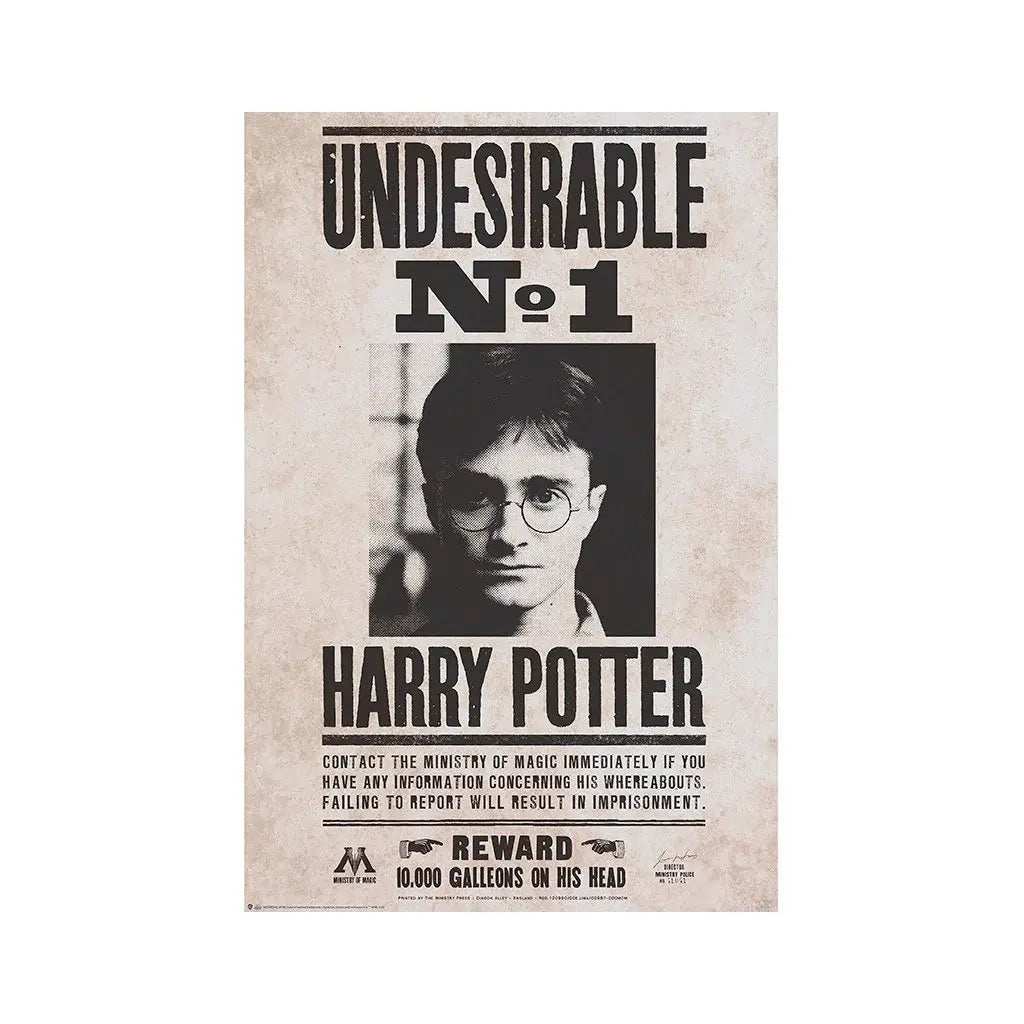 Harry Potter Undesirable n°1 Poster - Olleke Wizarding Shop Amsterdam