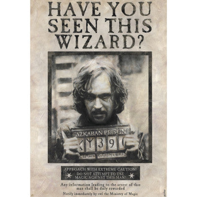 Harry Potter Wanted Sirius Black Poster - Olleke Wizarding Shop Amsterdam