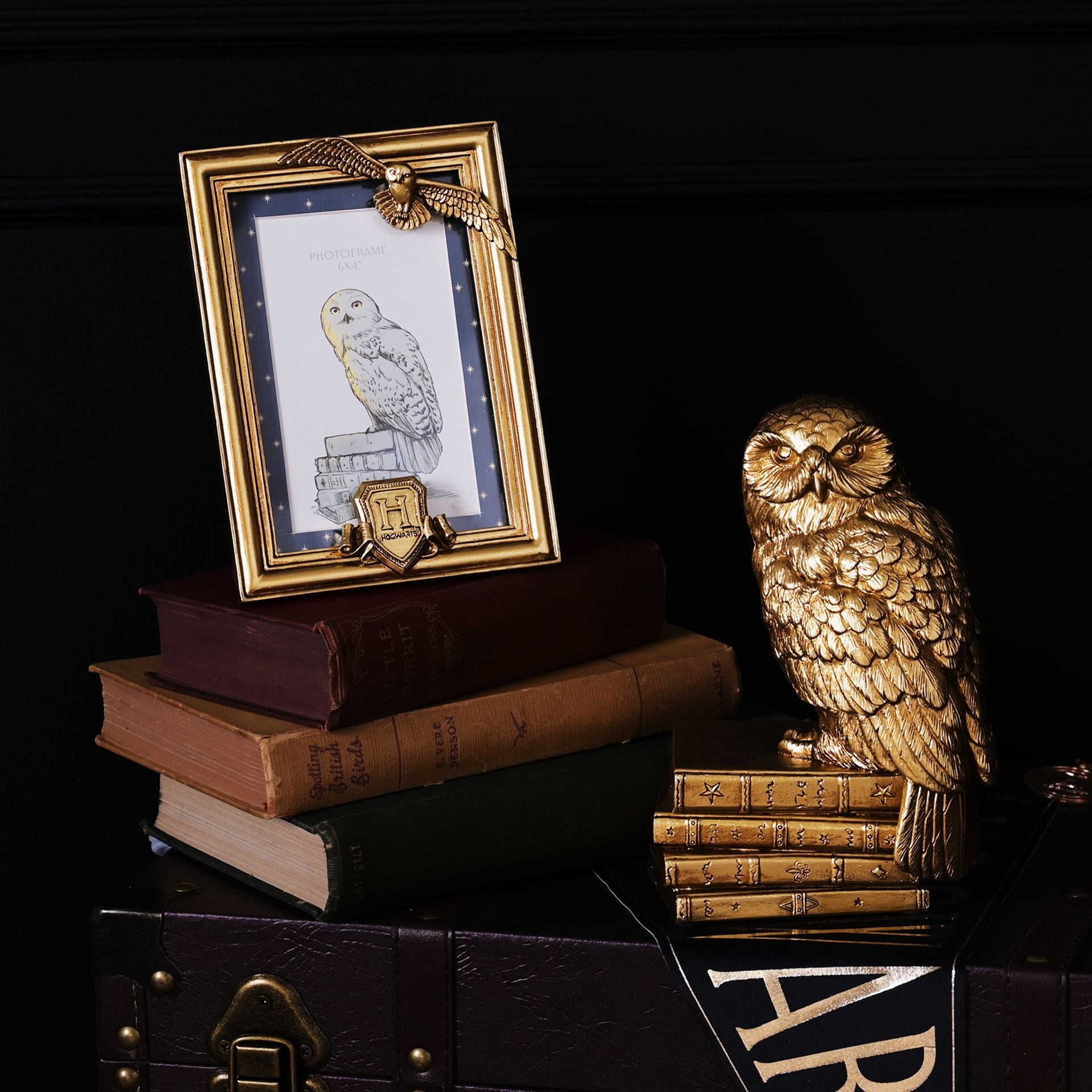 Harry Potter Alumni Gold Photo Frame Hedwig - Olleke Wizarding Shop Amsterdam