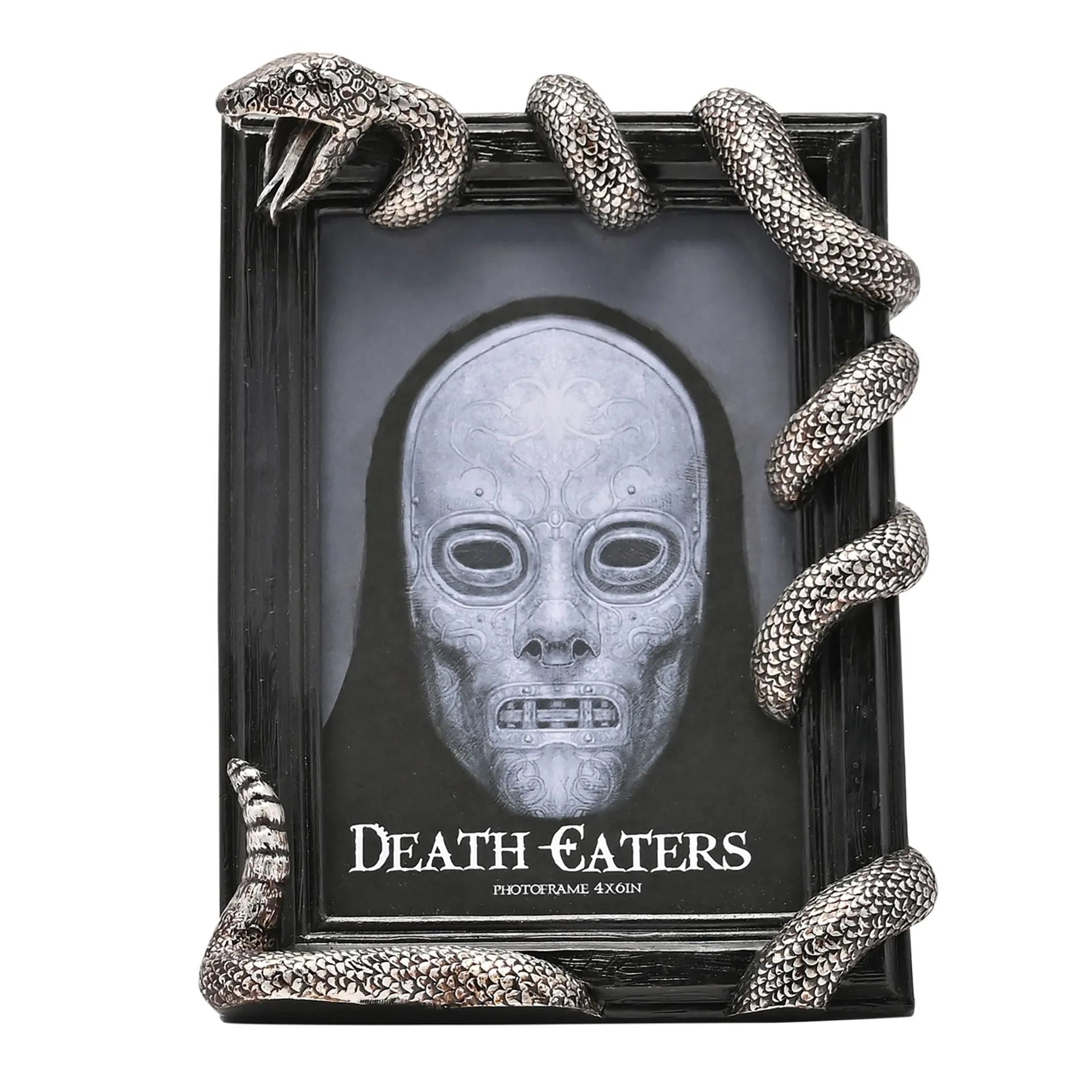 Harry Potter Dark Arts Frame - Nagini - Olleke Wizarding Shop Amsterdam
