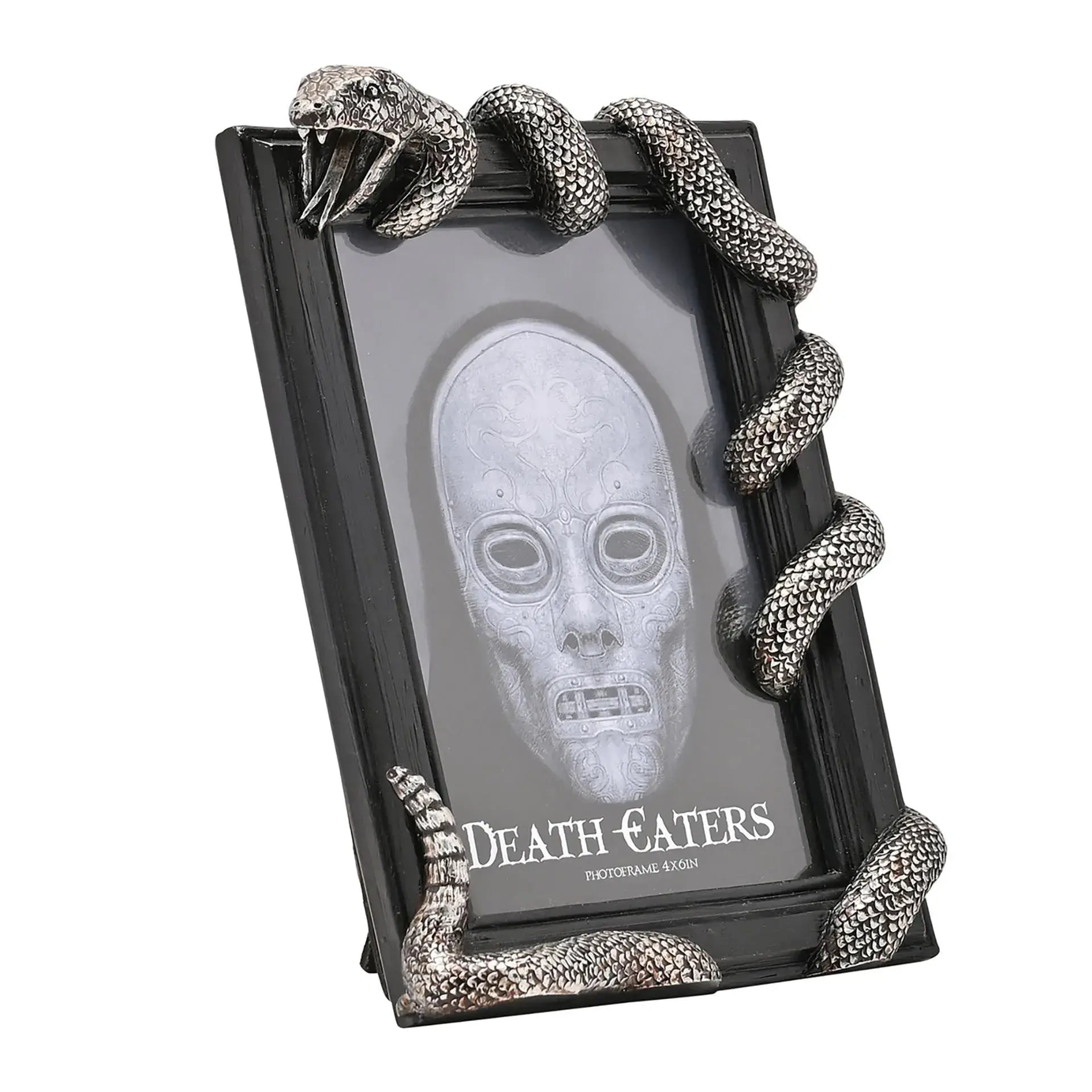 Harry Potter Dark Arts Frame - Nagini - Olleke Wizarding Shop Amsterdam