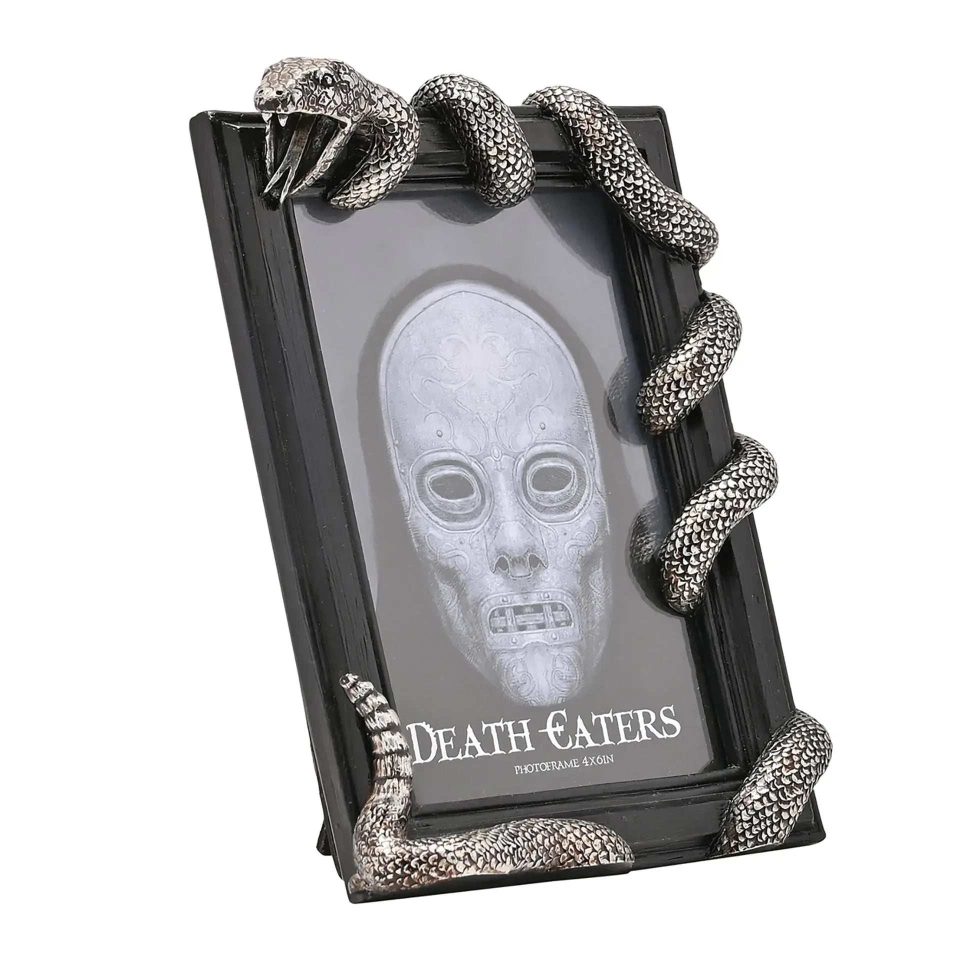 Harry Potter Dark Arts Frame - Nagini - Olleke Wizarding Shop Amsterdam