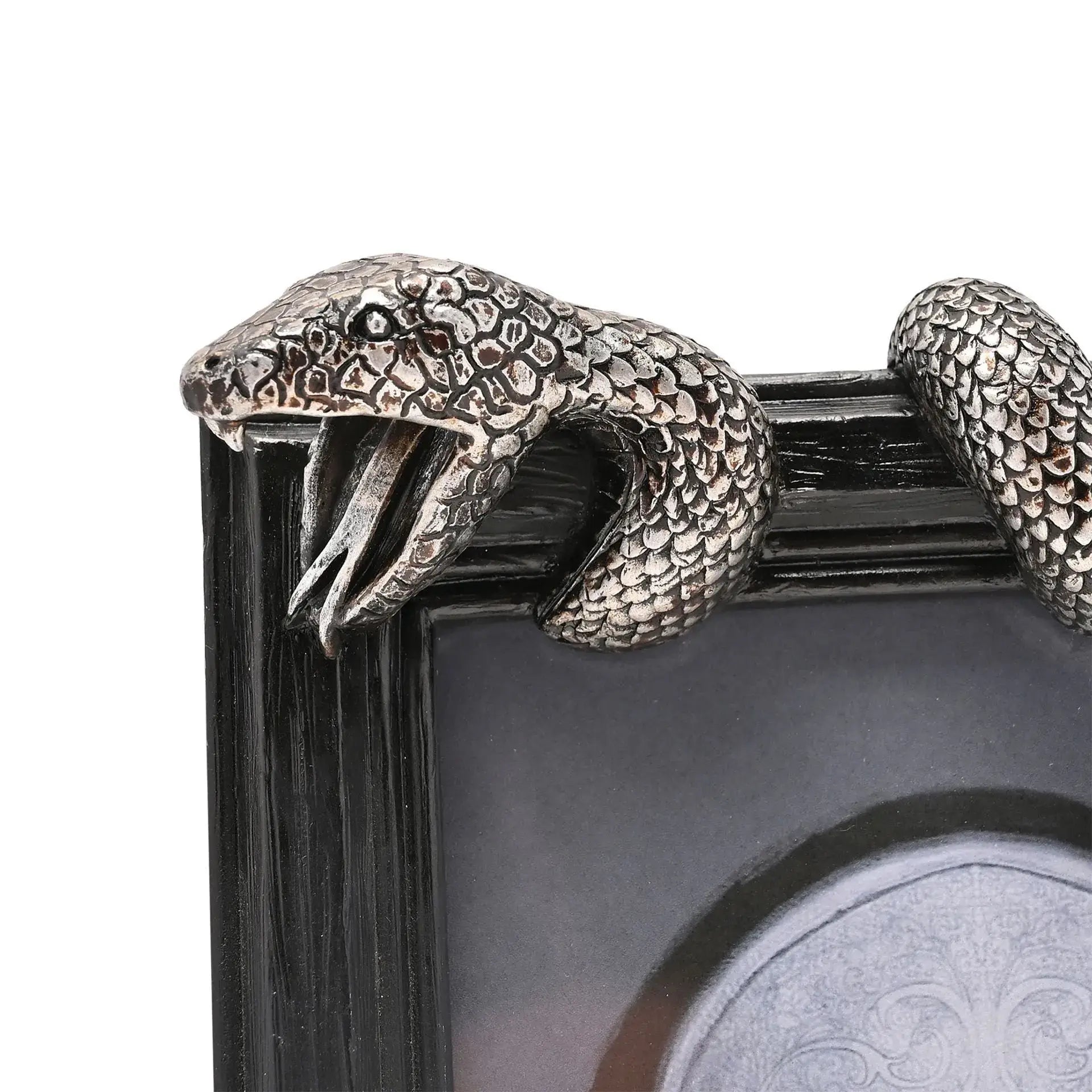 Harry Potter Dark Arts Frame - Nagini - Olleke Wizarding Shop Amsterdam