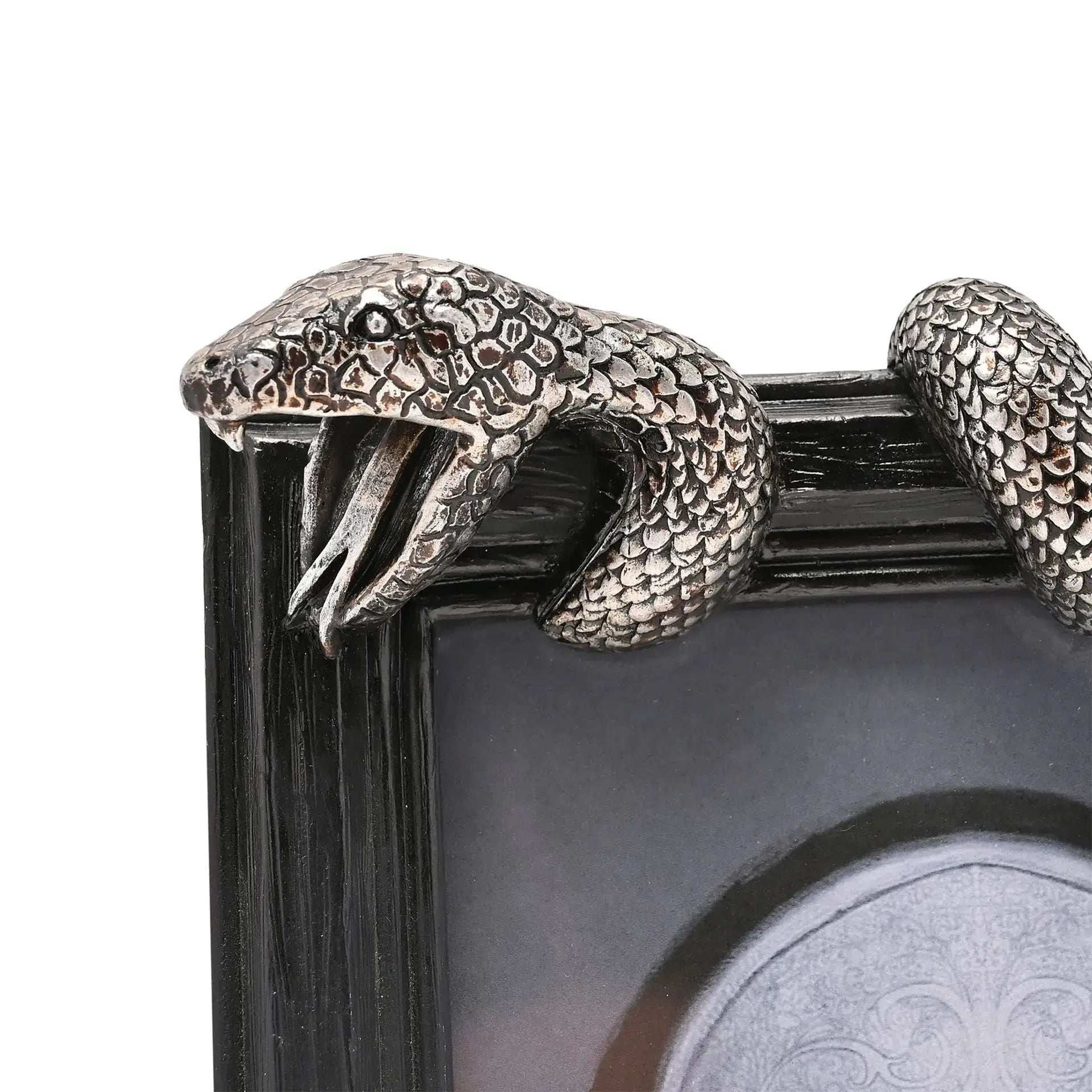 Harry Potter Dark Arts Frame - Nagini - Olleke Wizarding Shop Amsterdam
