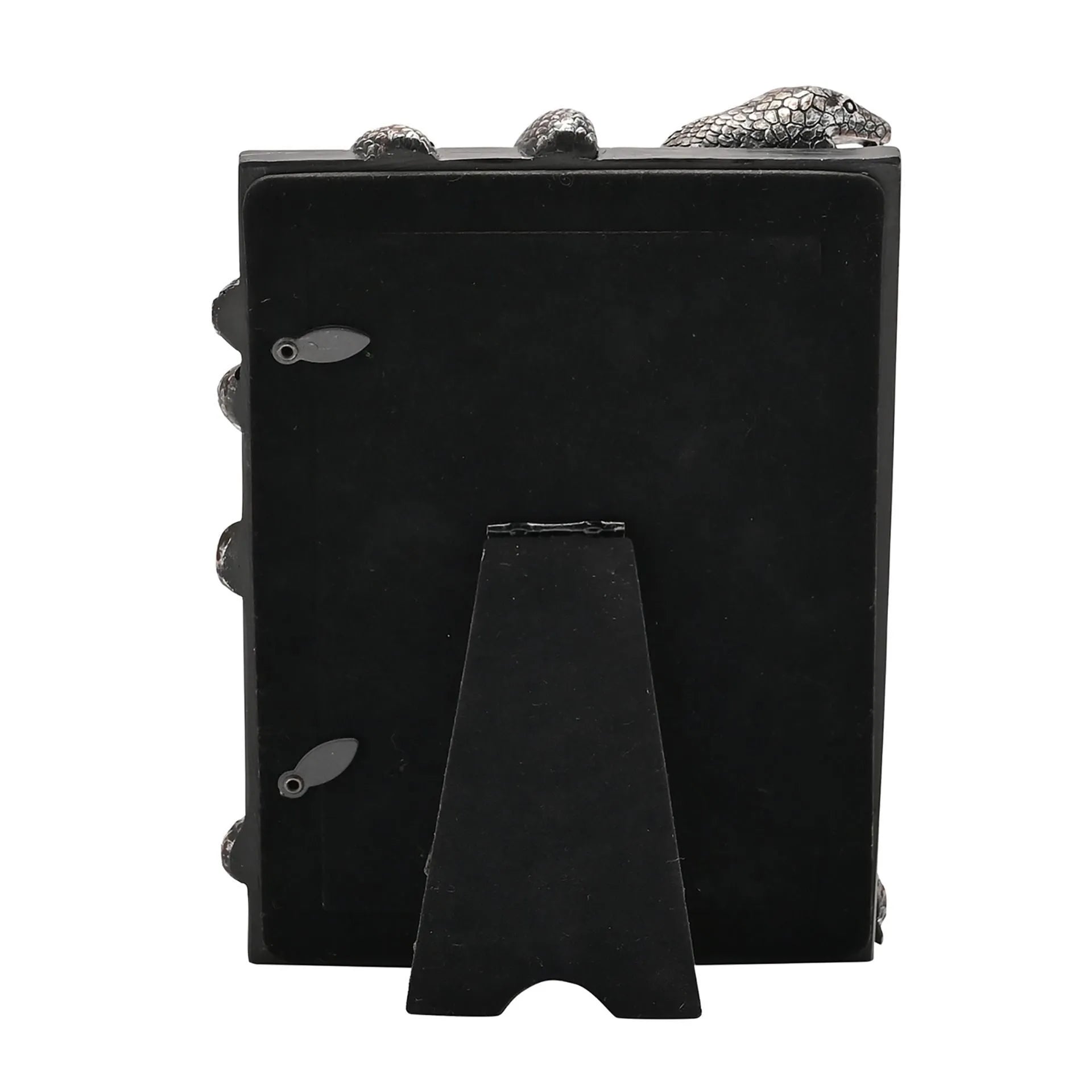 Harry Potter Dark Arts Frame - Nagini - Olleke Wizarding Shop Amsterdam