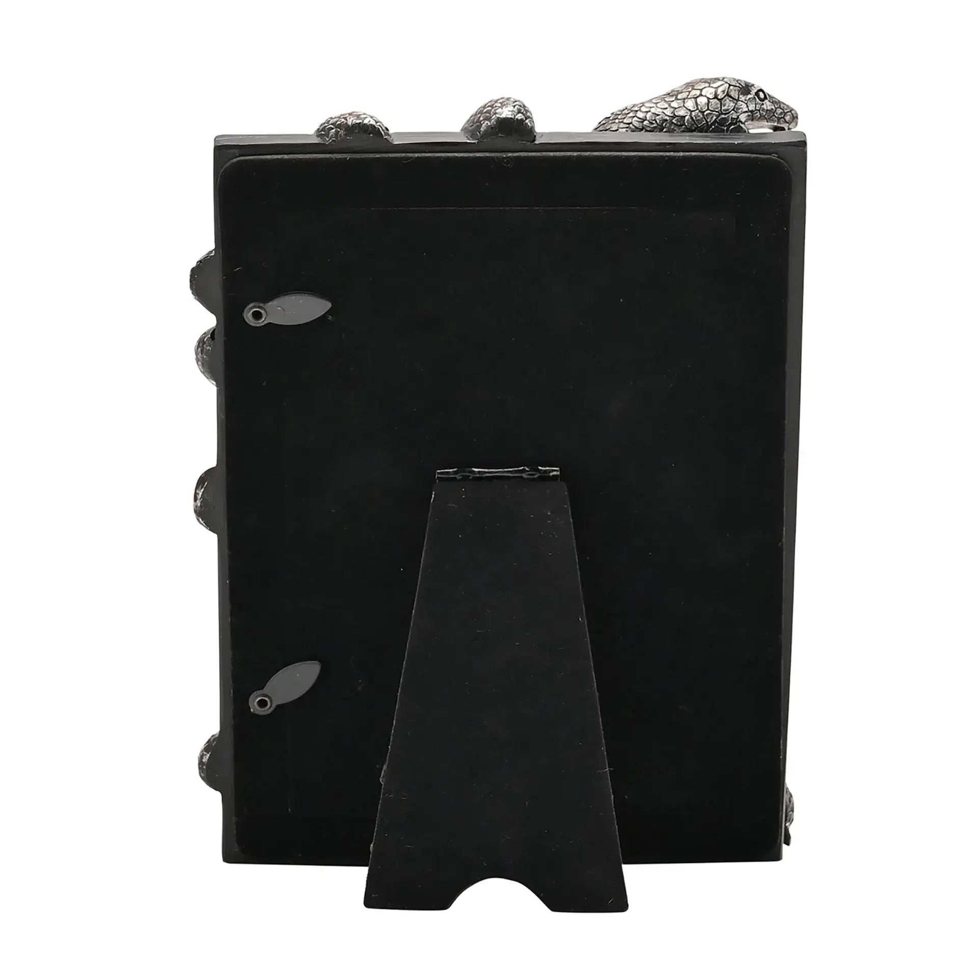 Harry Potter Dark Arts Frame - Nagini - Olleke Wizarding Shop Amsterdam