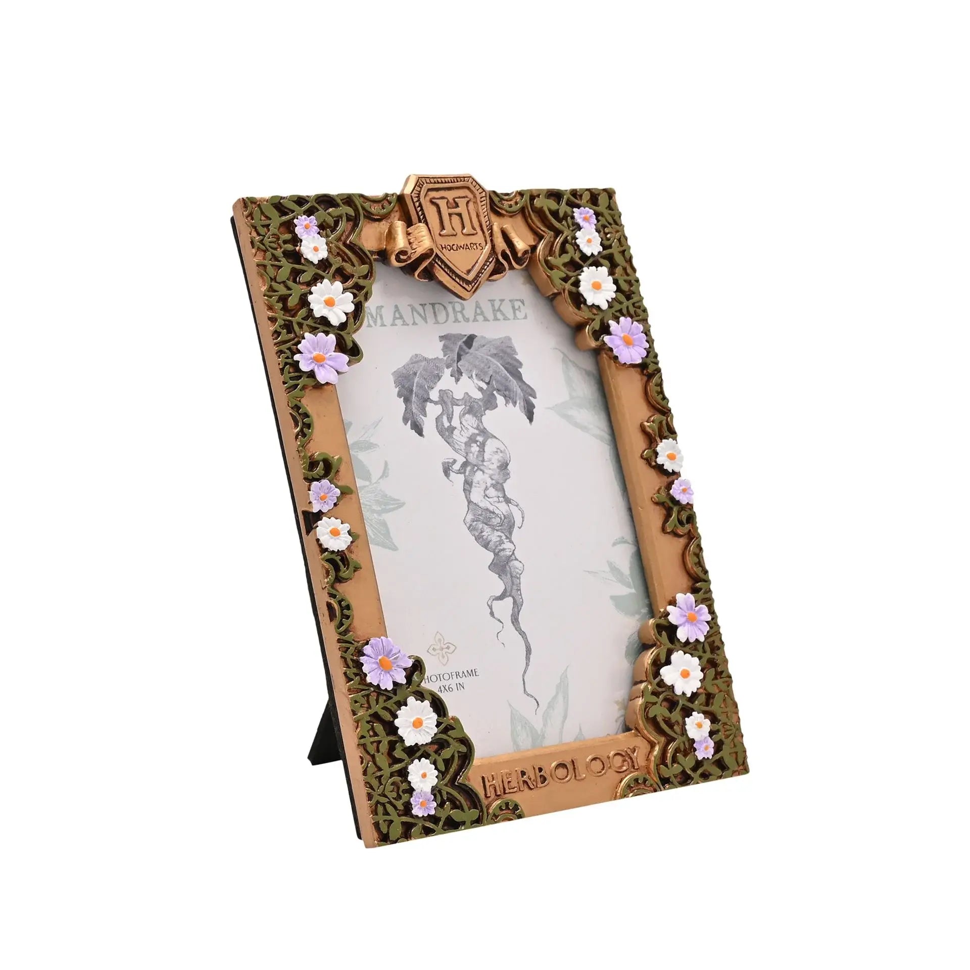 Harry Potter Herbology Frame - Olleke Wizarding Shop Amsterdam