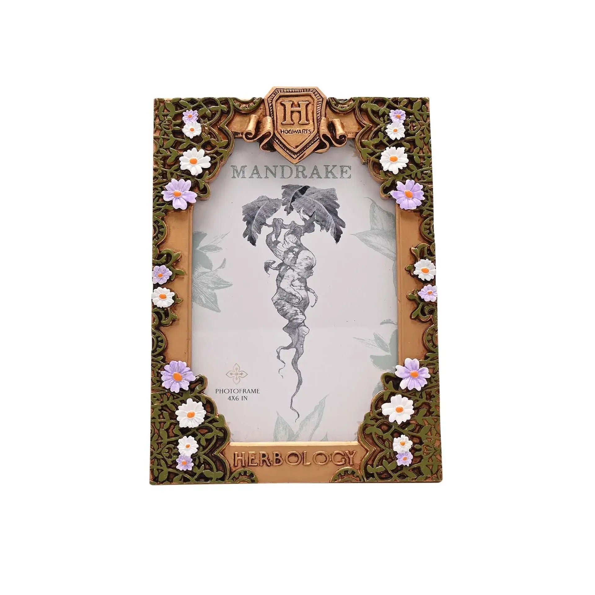 Harry Potter Herbology Frame - Olleke Wizarding Shop Amsterdam