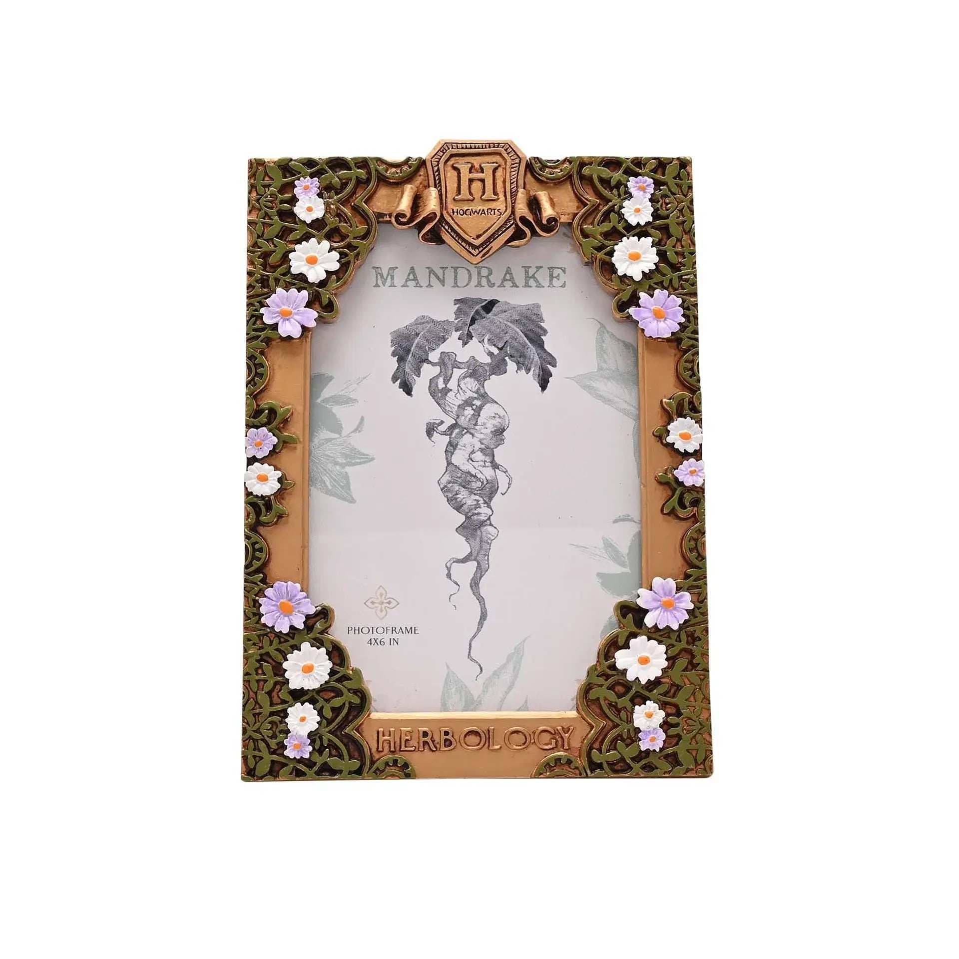 Harry Potter Herbology Frame - Olleke Wizarding Shop Amsterdam
