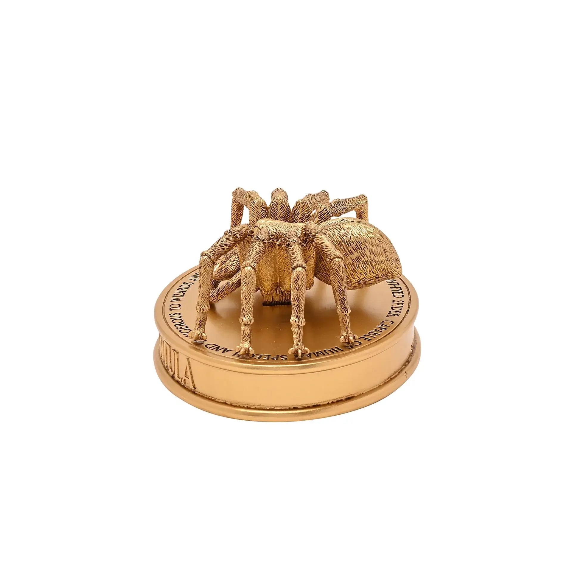 Harry Potter Herbology Figurine - Aragog - Olleke Wizarding Shop Amsterdam