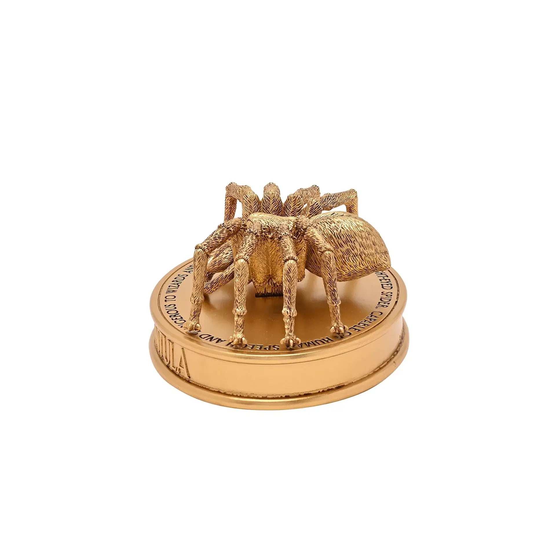 Harry Potter Herbology Figurine - Aragog - Olleke Wizarding Shop Amsterdam