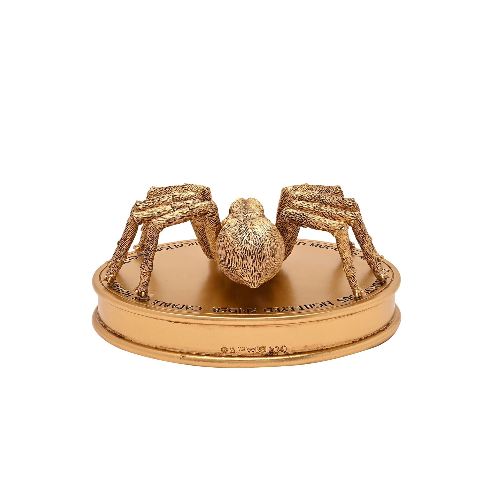 Harry Potter Herbology Figurine - Aragog - Olleke Wizarding Shop Amsterdam