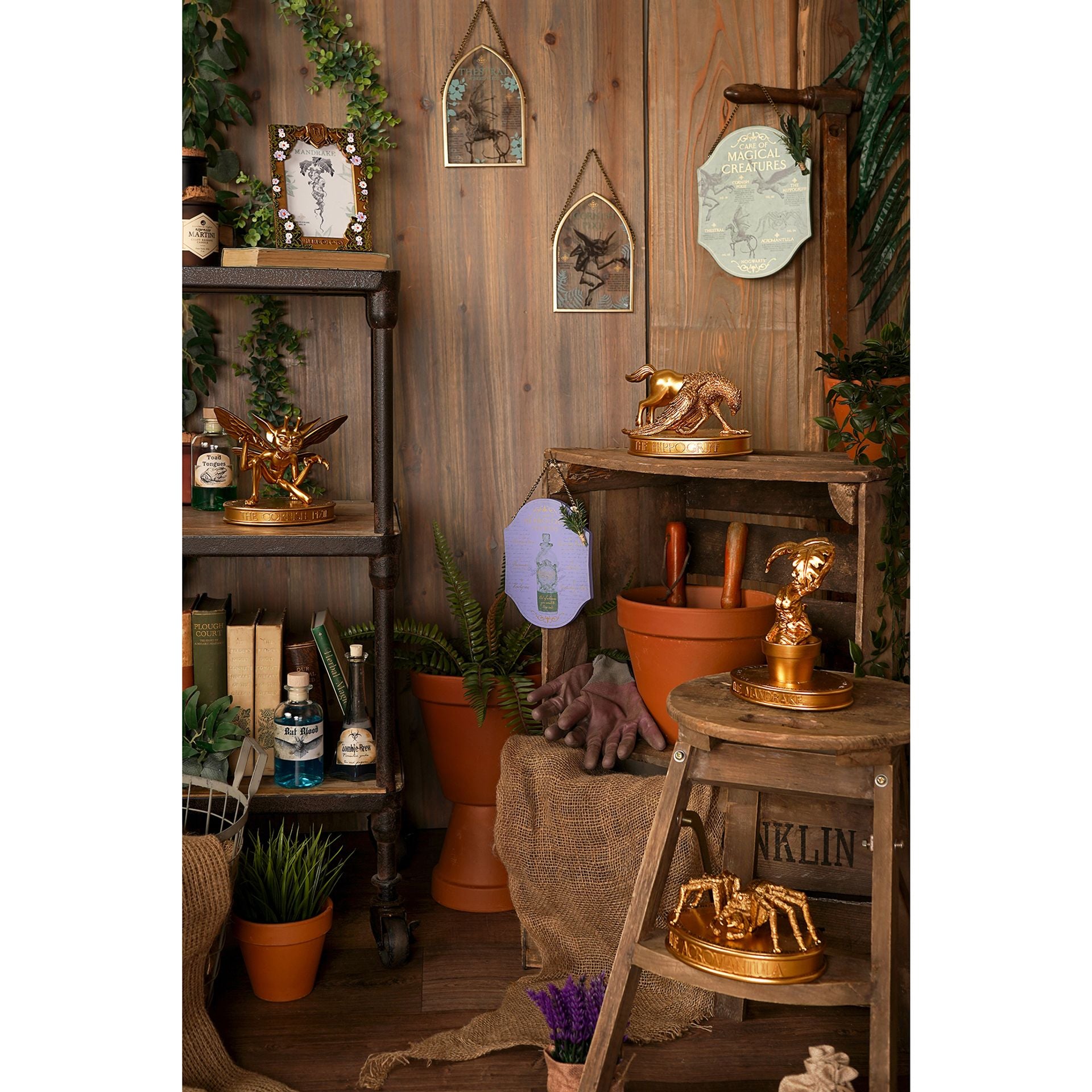 Harry Potter Herbology Plaque - Polyjuice - Olleke Wizarding Shop Amsterdam