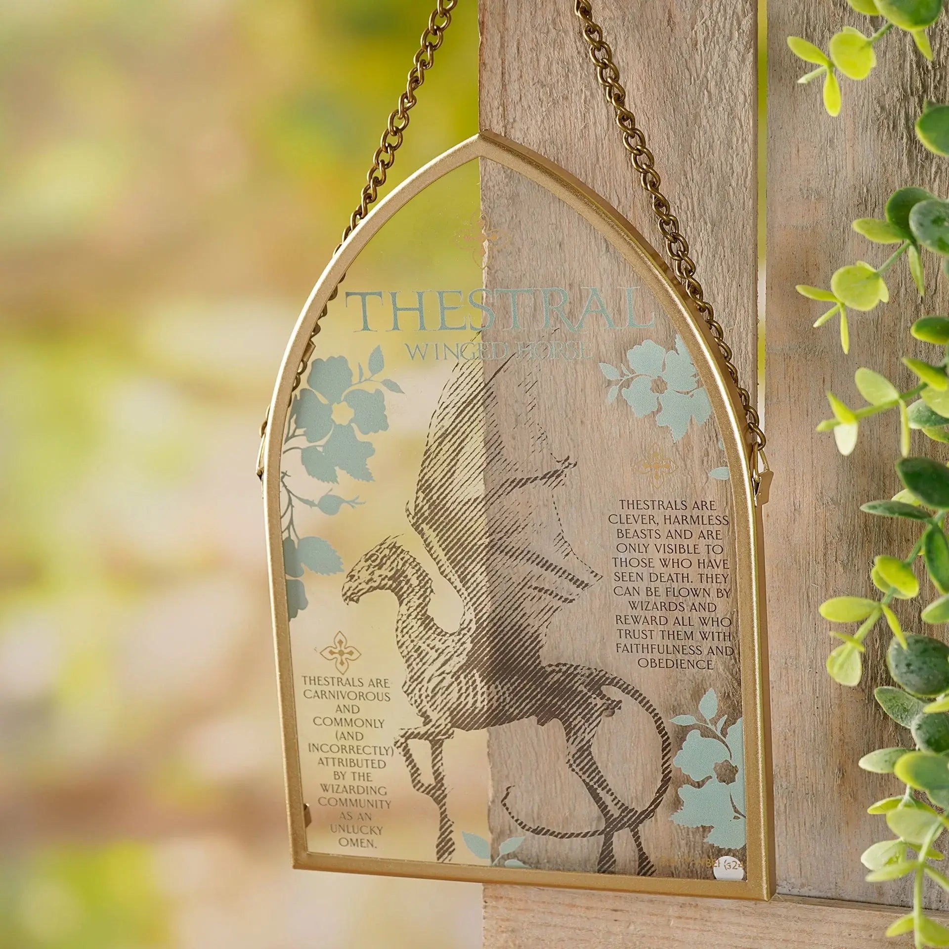Harry Potter Herbology Arch Plaque - Thestral - Olleke Wizarding Shop Amsterdam