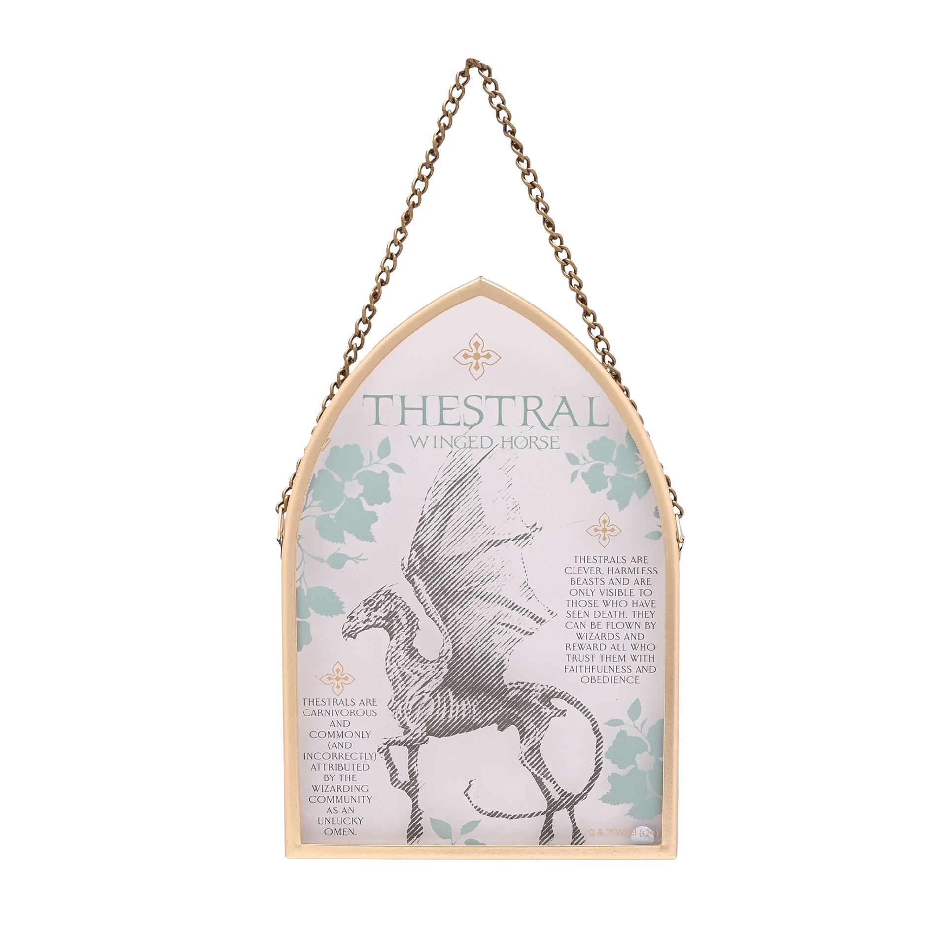 Harry Potter Herbology Arch Plaque - Thestral - Olleke Wizarding Shop Amsterdam