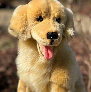 Charlie Golden Retriever - Olleke Wizarding Shop Amsterdam