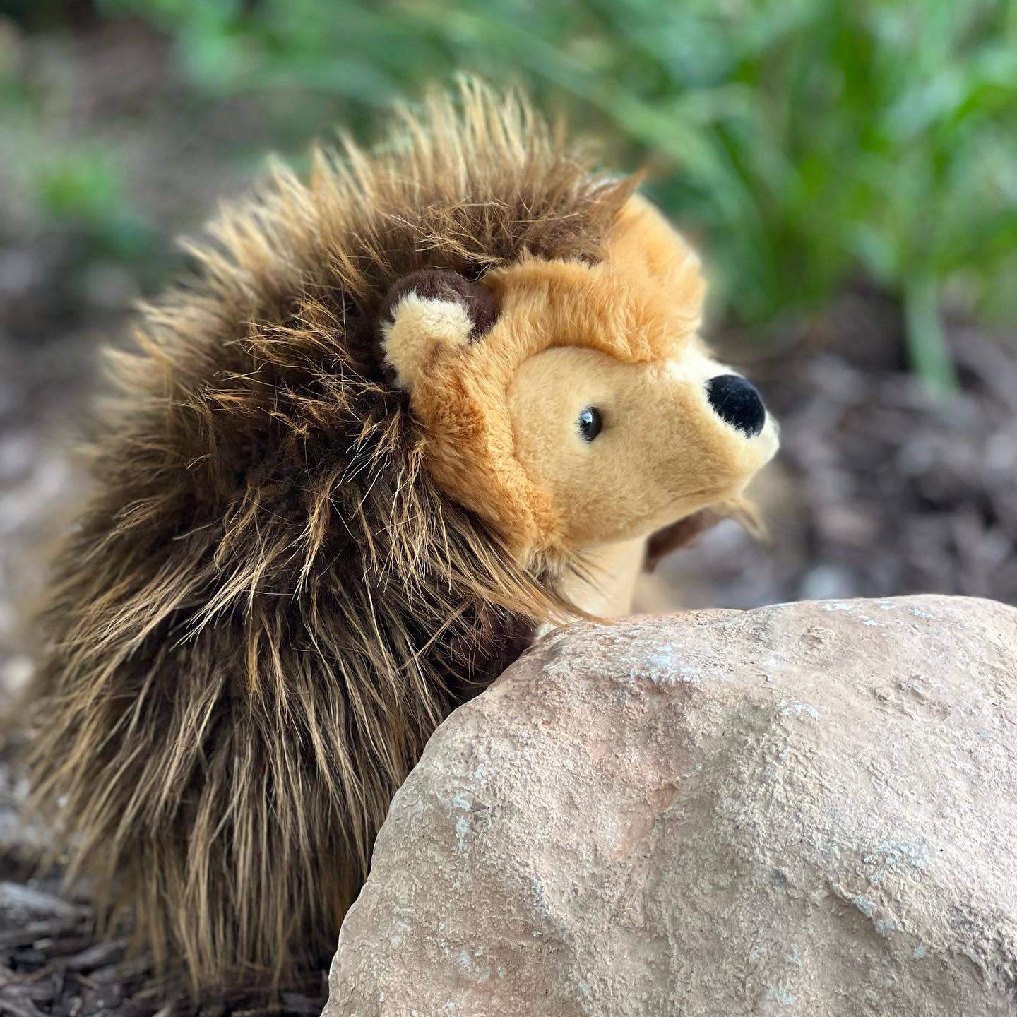 Harley the Hedgehog - Olleke Wizarding Shop Amsterdam