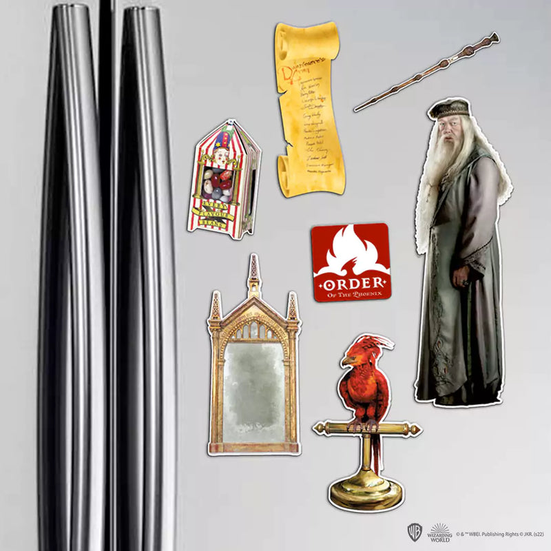 Harry Potter Set of Magnets Dumbledore