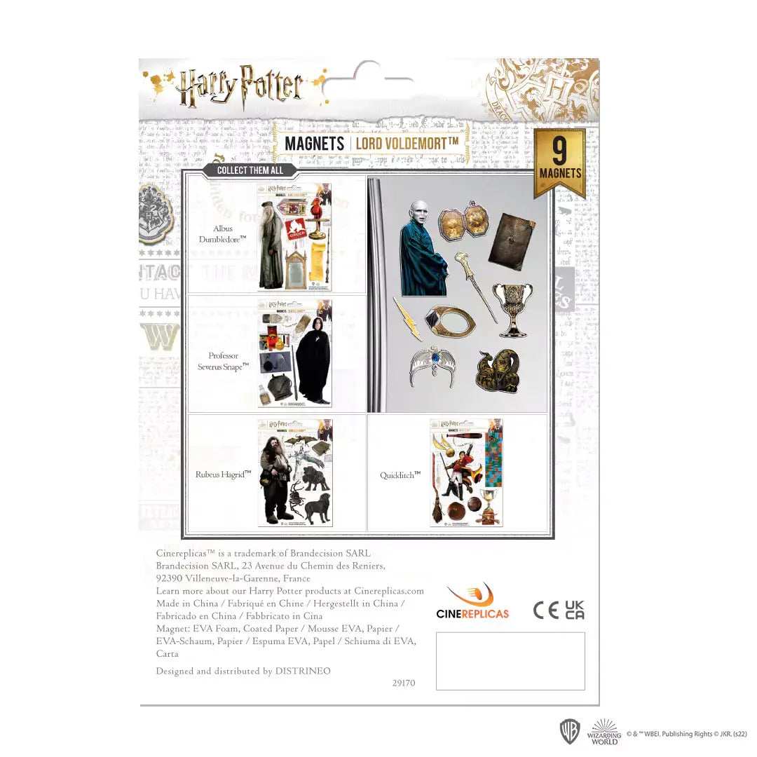 Harry Potter Set of Magnets Voldemort - Olleke Wizarding Shop Amsterdam
