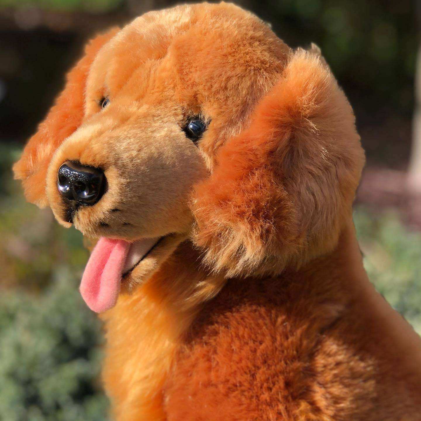 Jack Golden Retriever - Olleke Wizarding Shop Amsterdam
