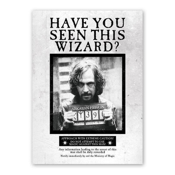 Have You Seen This Wizard Poster - Olleke | Disney and Harry Potter Merchandise shop
