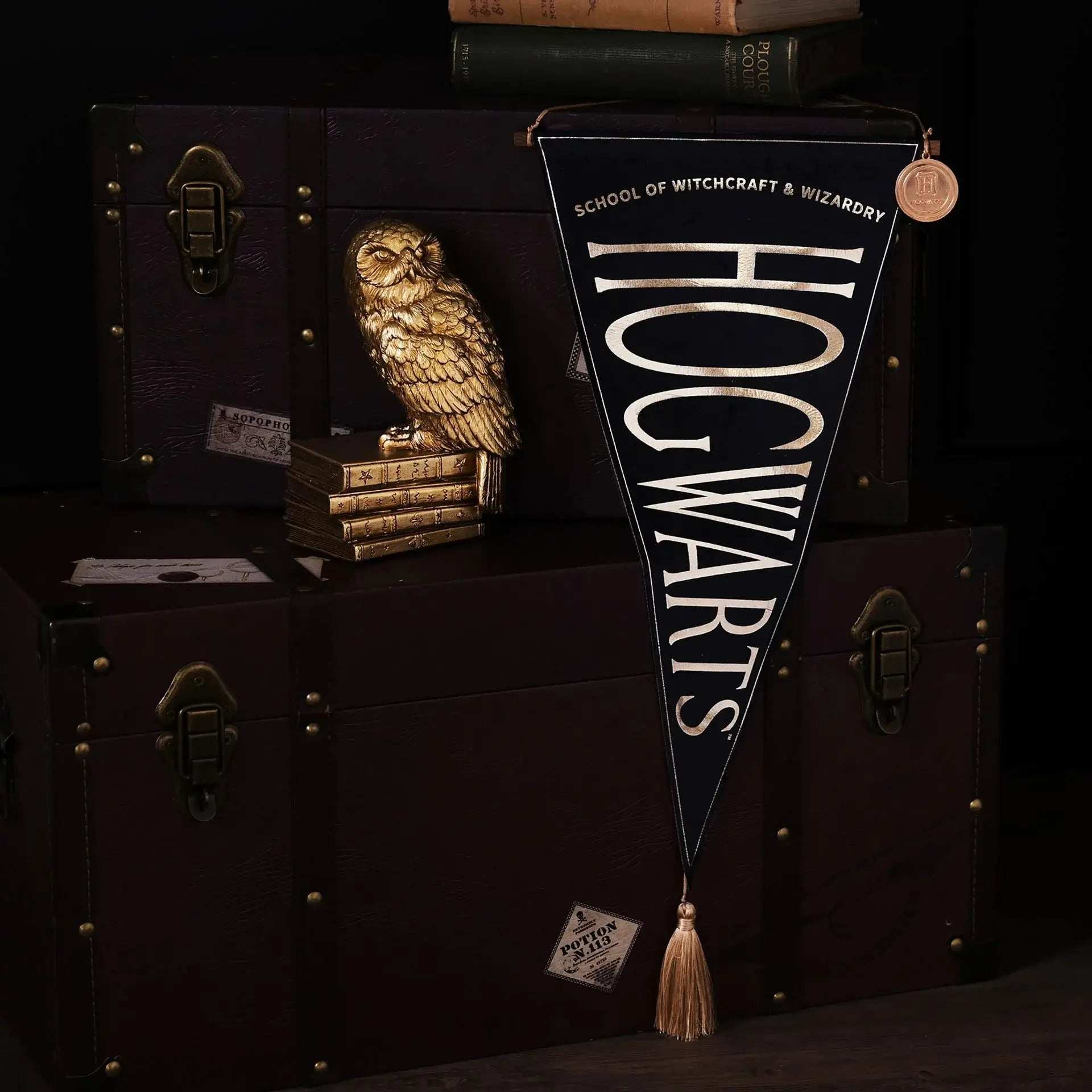Harry Potter Alumni Hanging Banner Hogwarts - Olleke Wizarding Shop Amsterdam